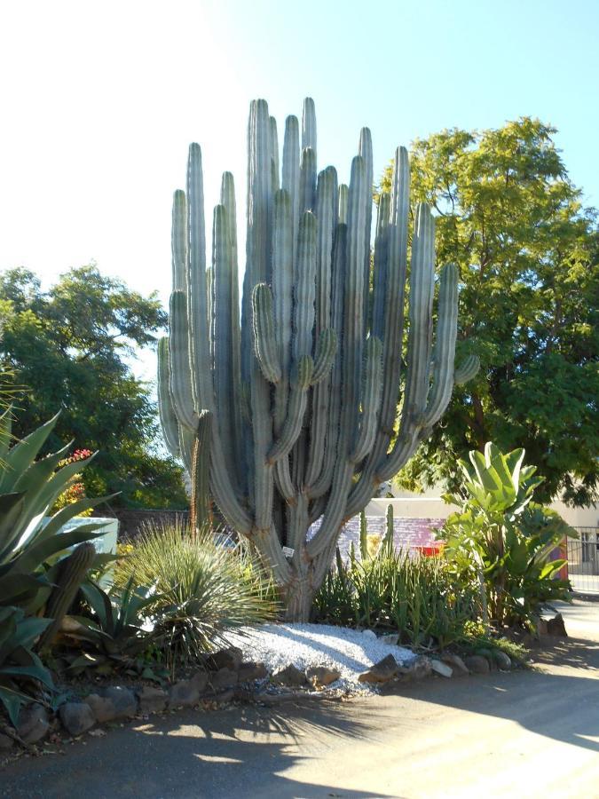 Obesa Lodge Graaff-Reinet 外观 照片