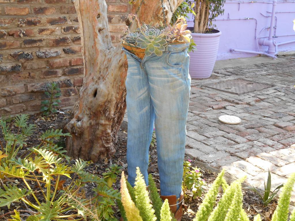 Obesa Lodge Graaff-Reinet 外观 照片